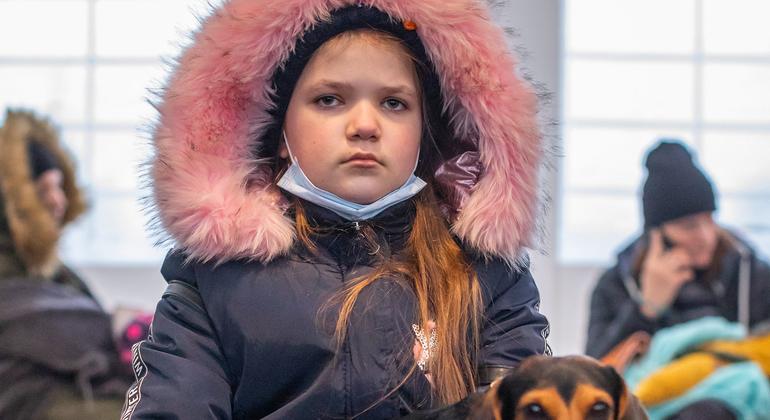 Plus de 3,7 millions de personnes ont quitté l’Ukraine dont 2,2 millions de réfugiés en Pologne